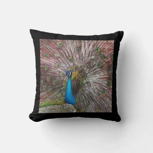 ピーコック クッション (正面)