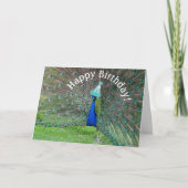 ピーコック・ストラット・ハッピーバースデー! カード (正面)