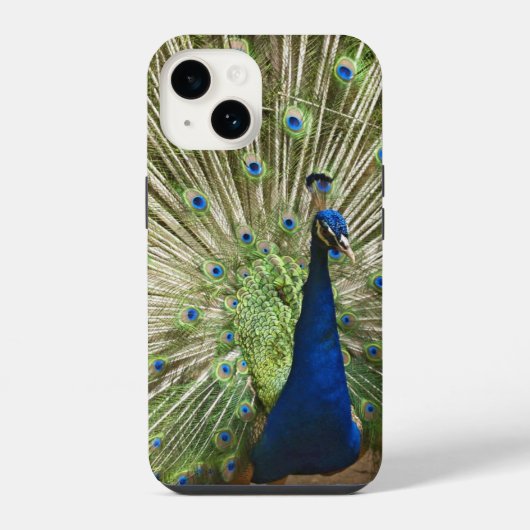 ピーコック ディスプレイ iPhoneケース (裏面)