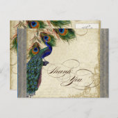 ピーコック&フェザーフォーマルサンキューノートシルバー ポストカード (正面/裏面)