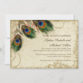 ピーコック&フェザー茶の汚れを保存 セーブザデート (裏面)