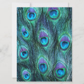 ピーコック フェザー ドラマ 6.5" x 8 ウェディング 招待状 (裏面)