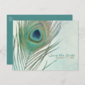 ピーコック フェザー ボヘミアンチック ウォーターカラー セーブ・ザ・デート 案内ポストカード (正面/裏面)