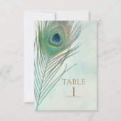 ピーコック フェザー ボヘミアンチック 水彩 タブル ナンバー 招待状 (正面)