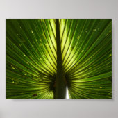 "ピーコック" ポスター (正面)