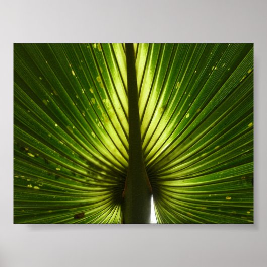 "ピーコック" ポスター (正面)