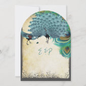 ピーコック ヴィンテージ フェザー スワール バーンエッジ パーチメント 招待状 (裏面)