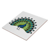 ピーコッ図解入りの、写真付きのク タイル (側面)