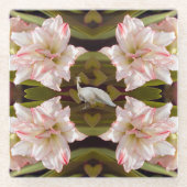 ピーコッ威厳のあるクとアマリリス・キャンディ・ケーン ガラスコースター (正面)