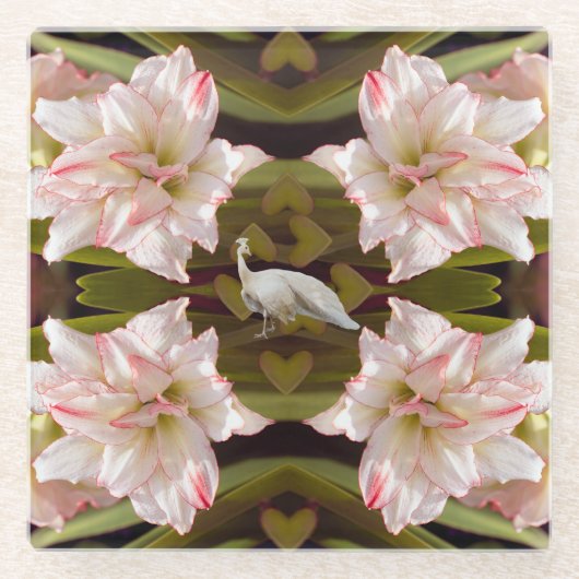 ピーコッ威厳のあるクとアマリリス・キャンディ・ケーン ガラスコースター (正面)