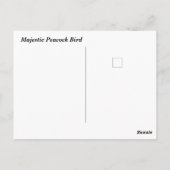 ピーコッ威厳のあるク ポストカード (裏面)