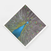 ピーコッ素晴らしク (コーナー)