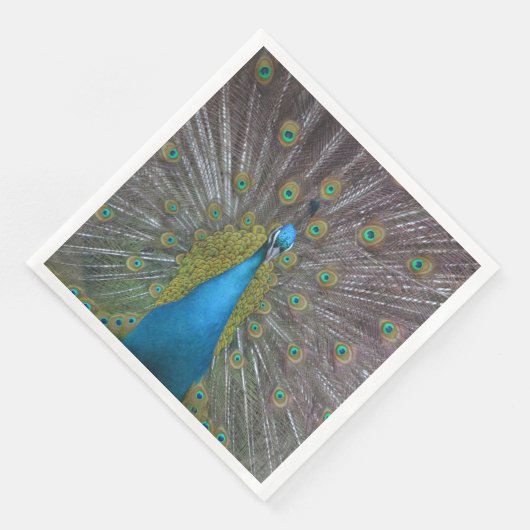 ピーコッ素晴らしク (コーナー)