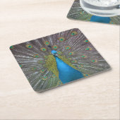 ピーコッ素晴らしク スクエアペーパーコースター (アングル)
