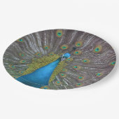 ピーコッ素晴らしク ペーパープレート (アングル)