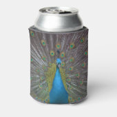 ピーコッ素晴らしク 缶クーラー (缶裏面)