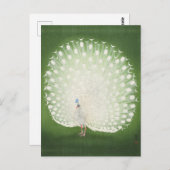 ピーコッ絵を描クのby大原小村はがき ポストカード (正面/裏面)