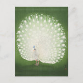 ピーコッ絵を描クのby大原小村はがき ポストカード (正面)