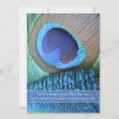 ピーコッ鮮やかクフェザーモダン招待状 招待状 (裏面)