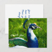 ピーコファンキーックフラットサンキューカード サンキューカード (正面/裏面)