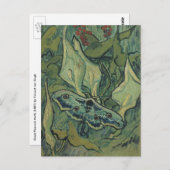 ピーコ素晴らしックモスバイヴィンセントヴァンゴッホ ポストカード (正面/裏面)