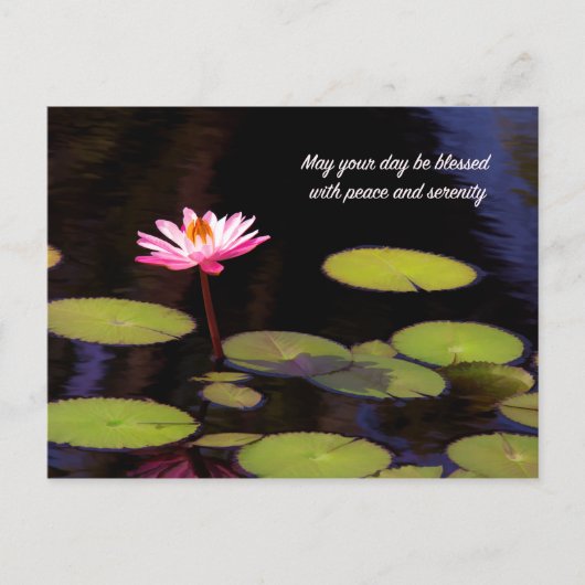 ピースアンドセレニティポストカード付きピンクロータス ポストカード (正面)