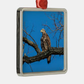 ピースキルの未熟なハゲのワシ、ニューヨーク メタルオーナメント (右)