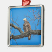 ピースキルの未熟なハゲのワシ、ニューヨーク メタルオーナメント (左)