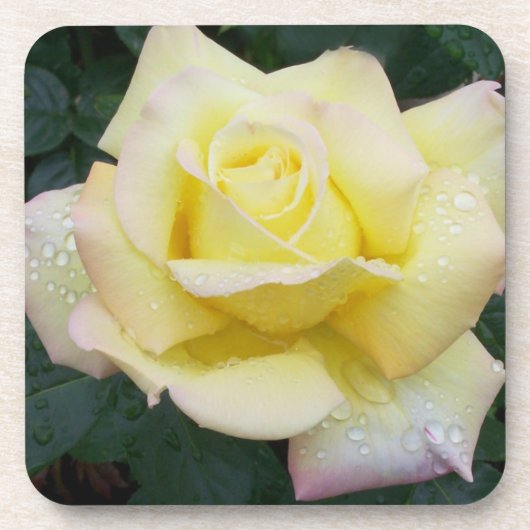 ピースバラコースターセット コースター (正面)