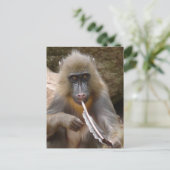 ピースパイプ ポストカード (スタンド正面)