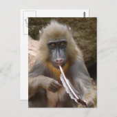 ピースパイプ ポストカード (正面/裏面)