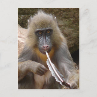 ピースパイプ ポストカード