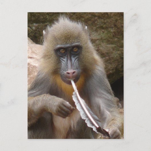 ピースパイプ ポストカード (正面)