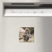 ピースパイプ マグネット (インサイチュ (食洗機))