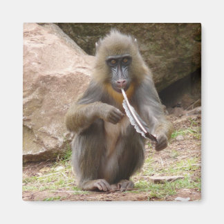 ピースパイプ マグネット