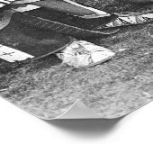 ピースパイプ: 1905年 ポスター (角)