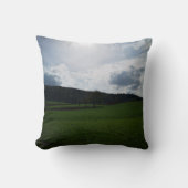 ピースピロー クッション (正面)