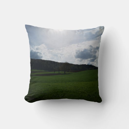 ピースピロー クッション (正面)