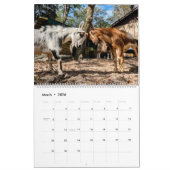 ピースファームカレンダー2024 カレンダー (3月 2026)