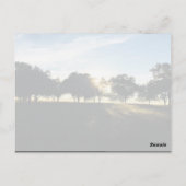 ピースベーブーマイソウル感動的引用文 ポストカード (裏面)