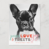 ピースラブジョイカラフルトリートドッグ恋人フォトペット シーズンポストカード (正面)