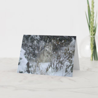 ピースラブジョイドクリスマスカード シーズンカード