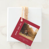 ピースラブジョイホリデークリスマスファミリーフォト フェイバータグ (インサイチュ)