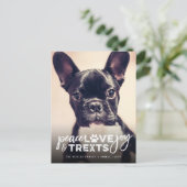 ピースラブジョイ犬の恋人フォトペモダンット シーズンポストカード (スタンド正面)