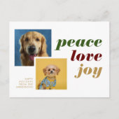 ピースラブモダンジョイ写真犬の休日 ポストカード (正面)
