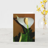 ピースリリーの花のグリーティングカード カード (黄色い花)