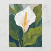 ピースリリーの花の絵 ポストカード (正面)
