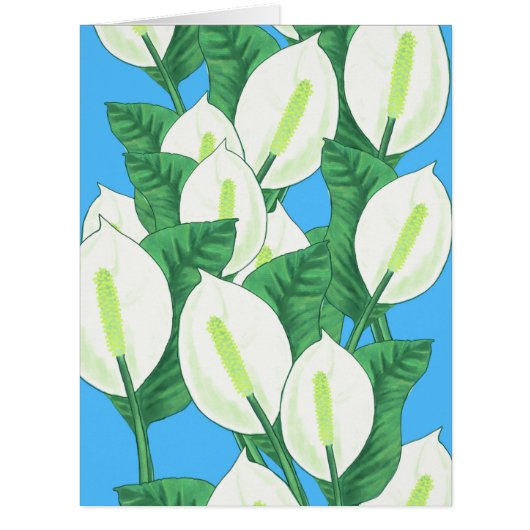 ピースリリーイラストレーション (正面)