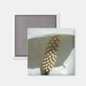 ピースリリーエレガントホワイトフローラ マグネット (正面/裏面)