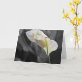 ピースリリー写真「ハッピーバースデー!」 カード (黄色い花)